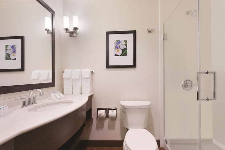 Bathroom shower